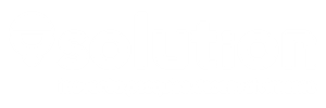 Solution
